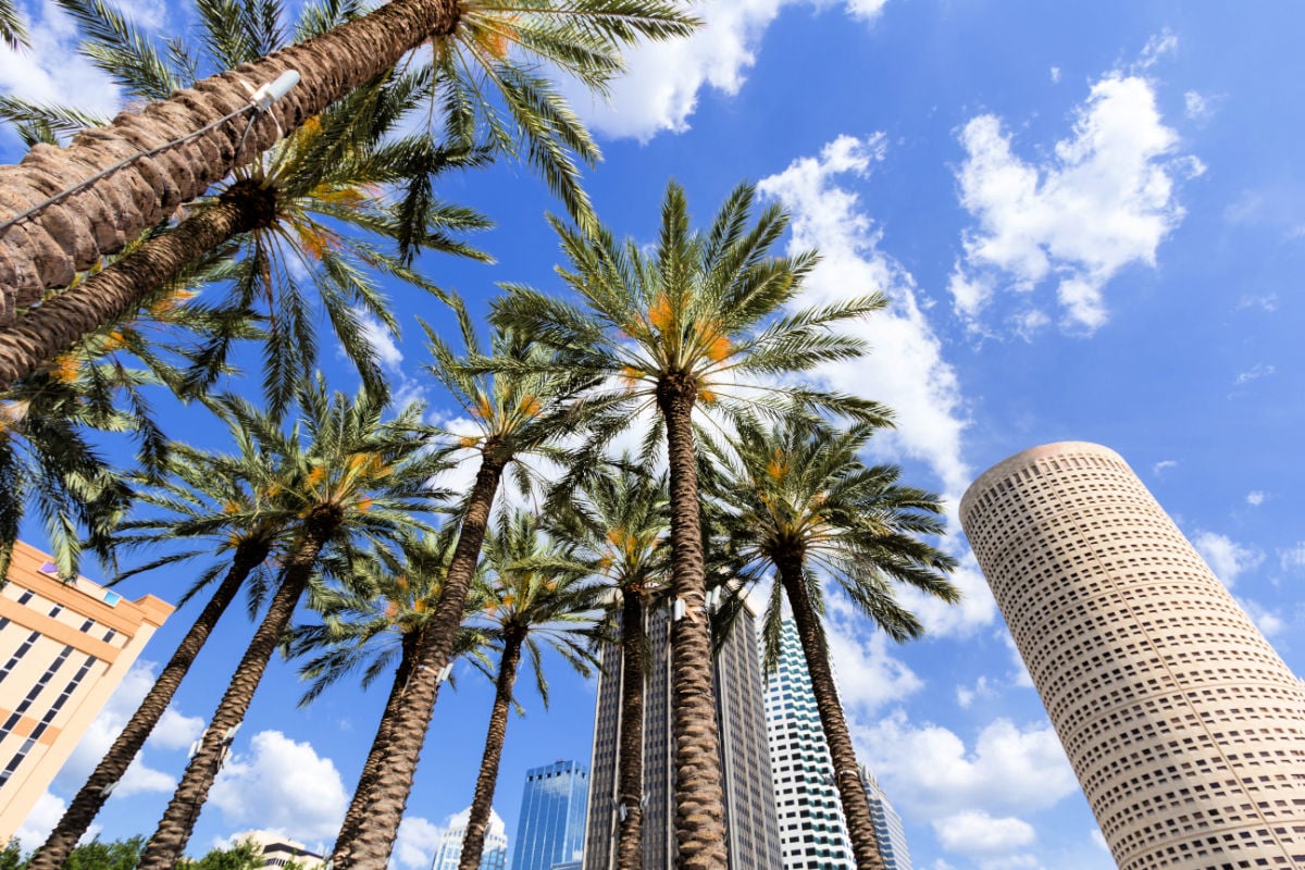 5 Reasons Why You Should Visit This Sunny Florida City This Spring