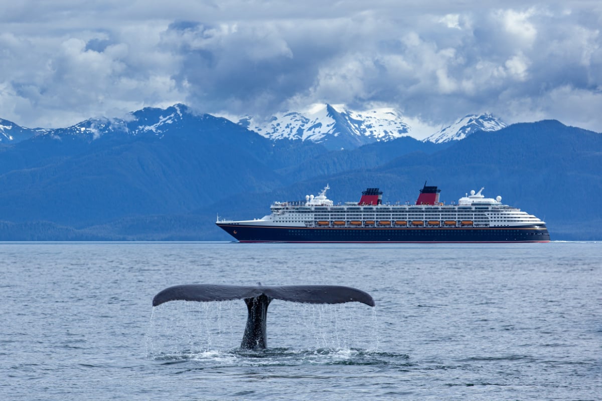 I Took An Alaska Cruise And These Were The 6 Mistakes First-Timers Were Making