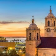 Corpus Christi Cathedral backdropped by palm trees